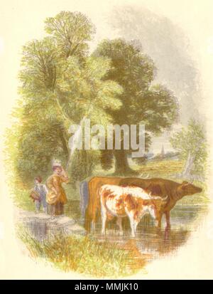La famiglia. Vacche milkmaid secchio, testa bambino 1857 antica vintage delle immagini di stampa Foto Stock