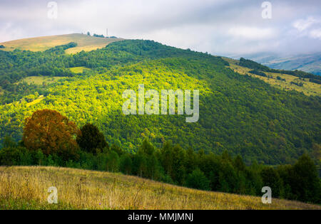 Estate montagna paesaggio. alberi vicino a prato e bosco su una collina sotto il cielo con le nuvole Foto Stock