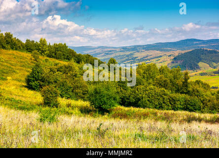 Bella campagna dei Carpazi in autunno. bellissimo scenario di montagna distretto Volovets, Ucraina Foto Stock