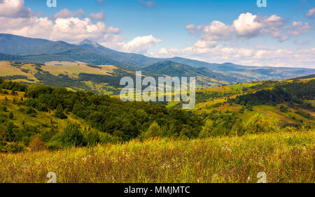 Campagna autunnale delle montagne dei Carpazi. colline boscose e magnifico Pikui picco dei Carpazi cresta divisoria nella distanza. incantevole natura sc Foto Stock