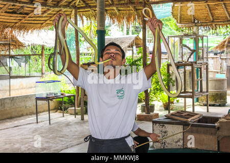 Mae Rim, Chiang Mai, Thailandia - Luglio 25, 2011: Snake trainer con re cobra di Mae Sa fattoria di serpenti. famosa in tutto il mondo perché hanno girato alcune scene di John Rambo film. Foto Stock