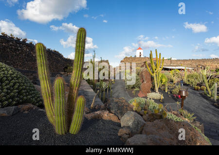 JARDIN DE CACTUS - Il giardino dei cactus, Lanzarote, Isole canarie, Spagna: all'interno del giardino. Foto Stock