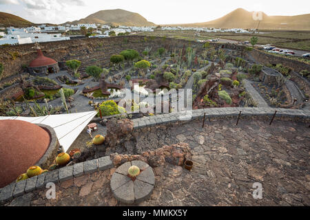 JARDIN DE CACTUS - Il giardino dei cactus, Lanzarote, Isole canarie, Spagna: panoramica del giardino, con un vulcano all'orizzonte. Foto Stock