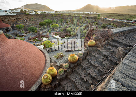 JARDIN DE CACTUS - Il giardino dei cactus, Lanzarote, Isole canarie, Spagna: panoramica del giardino, con un vulcano all'orizzonte. Foto Stock