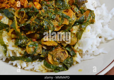 Il Cockle curry con foglie di betel sul riso Foto Stock