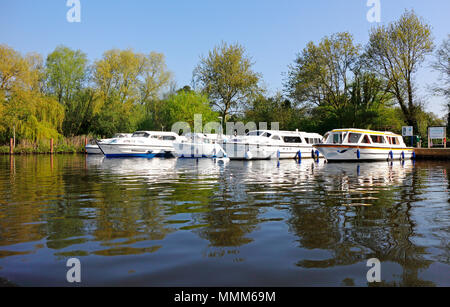 Incrociatori ormeggiata in libera posti barca sul fiume Bure sul Norfolk Broads a Wroxham, Norfolk, Inghilterra, Regno Unito, Europa. Foto Stock