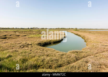 Il lato ovest del porto Pagham Riserva Naturale, West Sussex, Regno Unito. Foto Stock