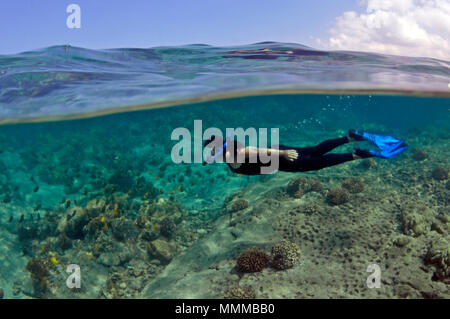 Snorkeler gode di pesci in Honaunau Bay, Kona, Big Island, Hawaii, STATI UNITI D'AMERICA Foto Stock