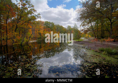 Una bella scena di autunno a un lago che mostra i colori dell'autunno alberi riflettendo nell'acqua. Foto Stock