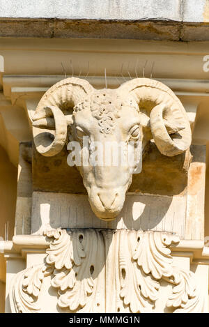 Dettagli architettonici di una ram di testa sulla facciata di un edificio, un close-up fotografia Foto Stock