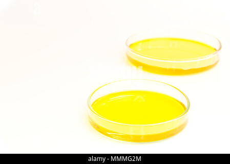 Piastre di Petri (petridishes) di soluzione di bicromato di potassio liquido giallo isolato su sfondo bianco. La scienza concetto scientifico Foto Stock