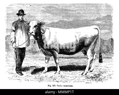 . Français : Vache tarentaise inglese: Tarentaise mucca . 1869. Alfred Brehm (1829-1884) nomi alternativi Brehm; Alfred Edmund Brehm; A. E. Brehm Descrizione biologo tedesco ornitologo, zoologo, pittore e scrittore Data di nascita e morte 2 Febbraio 1829 11 Novembre 1884 Luogo di nascita e morte Renthendorf Renthendorf competente controllo : Q155112 VIAF:?ISNI 47553366:?0000 0001 2131 4808 LCCN:?n50065092 GND:?118514814 SELIBR:?179101 WorldCat Brehm-Vache-Tarentaise Foto Stock