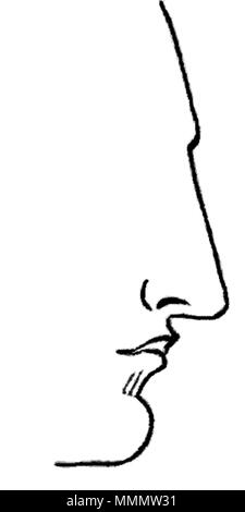 . Il naso dritto. Immagine da Warwick's Nasology, 1848 53 Aquain Nosen Foto Stock