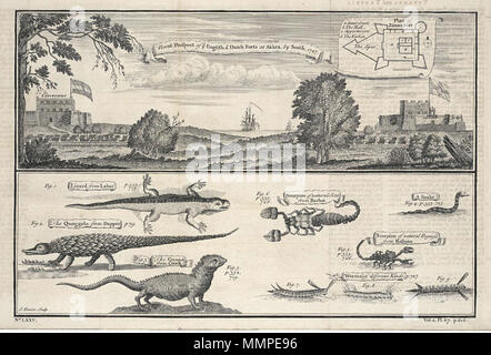 . Nederlands: Gezicht op het Engelse en het Nederlandse fort te Akkra, vanuit het noorden. A nord la prospettiva di ye inglese e olandese forti a Akkra. Inzet: Plattegrond van het Engelse fort San Giacomo. Onder de afbeelding van het fort zijn verschillende inheemse reptielen en insecten afgebeeld. Rechtsonder: Vol. 2. Pl. 67. p. 616. Linksonder: No: LXXV. Inglese: vista dell'inglese e olandese forti a Akkra, visto da nord. -Nord prospettiva di ye inglese e olandese forti a Akkra. Riquadro: Pianta della lingua inglese forte di San Giacomo. Vari indigeni, rettili e insetti sono raffigurati sotto il pictu Foto Stock