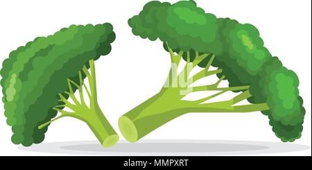 Vettore Collezione di colorati di broccoli. Piana e solida stile colore illustrata. Illustrazione Vettoriale