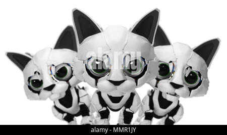 Gattino robotico faccia trio, 3d'illustrazione, orizzontale su bianco, isolato Foto Stock