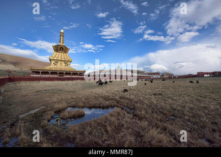 Pagoda a Yarchen Gar monastero tibetano, Sichuan, in Cina Foto Stock