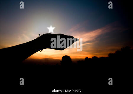 Silhouette di mano chiedendo e azienda star Foto Stock