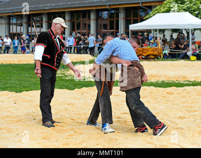 Anières, Ginevra, Svizzera. 12 maggio 2015. Giudice e lottatori svizzeri in sezionatrice anello parapolvere, XIX svizzero festival di wrestling del Cantone di Ginevra, Anières, Ginevra, Svizzera. Credito: GFC raccolta/Alamy Live News Foto Stock