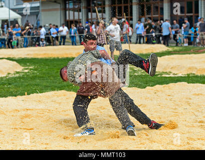 Anières, Ginevra, Svizzera. 12 maggio 2015. Giovani talenti svizzeri lottatori combattono in vide anello parapolvere, XIX svizzero festival di wrestling del Cantone di Ginevra, Anières, Ginevra, Svizzera. Credito: GFC raccolta/Alamy Live News Foto Stock