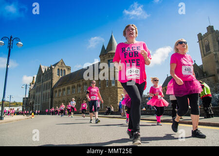 Aberystwyth Wales UK, domenica 13 maggio 20918 UK Meteo: più di un migliaio di donne e ragazze, tutti vestiti in sfumature di rosa, con alcuni in abiti fantasiosi troppo, ha preso parte all'annuale Cancer Research fund raising "Gara per la vita' oltre 5 km e 10km lungo i corsi Aberystwyth sul lungomare, su una luminosa e soleggiata Può la domenica mattina. È previsto che una volta che tutti i soldi di sponsorizzazione è stato ricevuto, questo singolo evento avrà sollevato oltre 50.000 sterline per la ricerca sul cancro del Regno Unito foto © Keith Morris / Alamy Live News Foto Stock