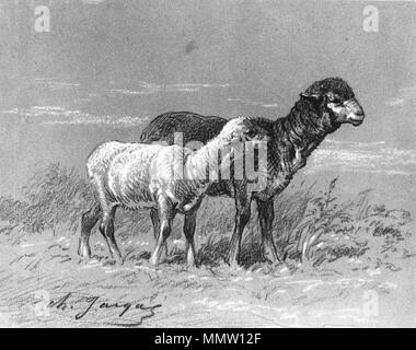 37.1619 Charles Emile Jacque (Francese, 1813-1894). "Pecora e agnello,' ca. 1860. Gessetto nero e pastello su grigio, moderatamente denso, leggermente strutturata carta intessuta. Walters Art Museum (37.1619): acquisita da William T. Walters. Charles Émile Jacque - premio per pecora e per l'Agnello - Walters 371619 Foto Stock