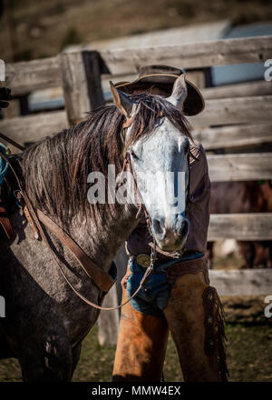 Aprile 22, 2017, RIDGWAY COLORADO: Horse con i Cowboy del cappello in vista di branding di bestiame uno scambio di parole, a Centennial Ranch, Ridgway, Colorado - un ranch di bestiame di proprietà di Vince Kotny Foto Stock