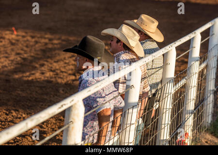 Luglio 22, 2017 NORWOOD COLORADO - cowboy in maglietta plad orologi San Miguel Basin Rodeo, San Miguel County Fairgrounds Foto Stock