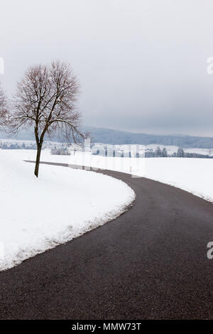 Una curva strada in mezzo alla neve con un albero a lato Foto Stock