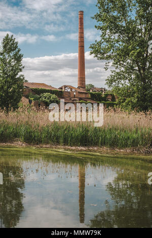 Mattoni vecchi ruderi di fabbrica in una zona umida. Campotto, provincia di Ferrara, Emilia Romagna, Italia. Foto Stock