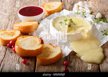 Il francese del cibo tradizionale formaggio Camembert con aglio, timo è servita con pane tostato e salsa di frutti di bosco vicino sul tavolo orizzontale. Foto Stock