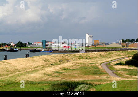 Paesi bassi,Olanda,Olandese, Zeeland,Wemeldinge,giugno 2017:ambiente rurale di Wemeldinge Foto Stock