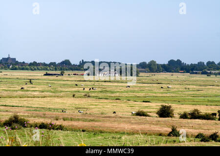 Paesi bassi,Olanda,Olandese, Zeeland,Wemeldinge,giugno 2017:ambiente rurale di Wemeldinge Foto Stock