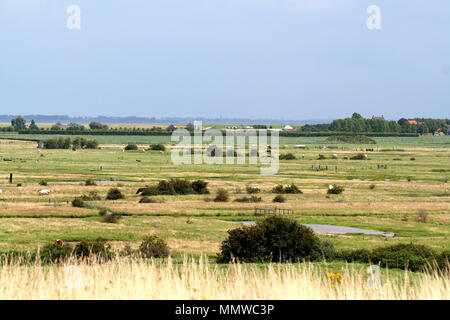 Paesi bassi,Olanda,Olandese, Zeeland,Wemeldinge,giugno 2017:ambiente rurale di Wemeldinge Foto Stock