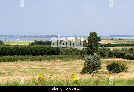 Paesi bassi,Olanda,Olandese, Zeeland,Wemeldinge,giugno 2017:ambiente rurale di Wemeldinge Foto Stock