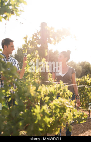 Un uomo e una donna di bere vino in vigneti con un cielo bianco in background e il sole che splende luminosa Foto Stock