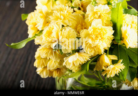 Giallo crisantemi in un barattolo di vetro, l'immagine orizzontale Foto Stock