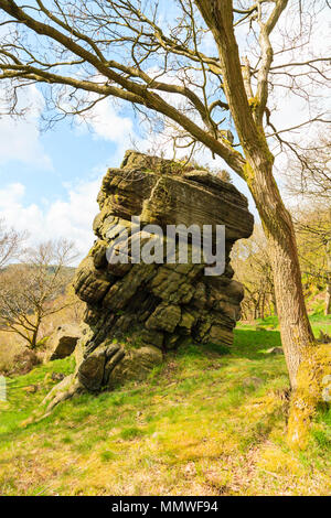 Heptonstall cava, noto come buco infernale, popolare di arrampicata e bouldering in posizione Heptonstall, Calder Valley, West Yorkshire, Regno Unito Foto Stock