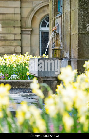 St Ann ben, acqua minerale a molla, nella città termale di Buxton Derbyshire, Regno Unito Foto Stock