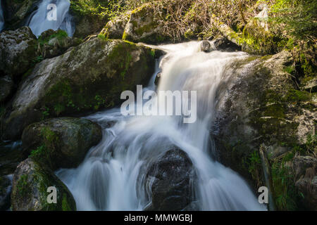 Germania, Verde muschio coperto pietre in cascate di Triberg nella foresta nera natura Foto Stock