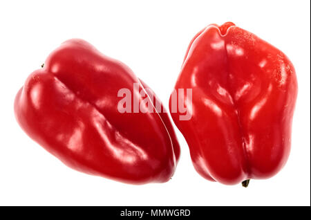 L'Habanero è una di medie dimensioni peperoncino tipo pod cultivar della specie Capsicum annuum. Si tratta di un molto hot chili, con un aroma floreale, originato Foto Stock