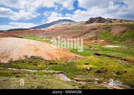 Vicino al famoso geyser Strokkur potete vedere questa bellissima valle con i suoi caldi ruscelli, Islanda. Foto Stock