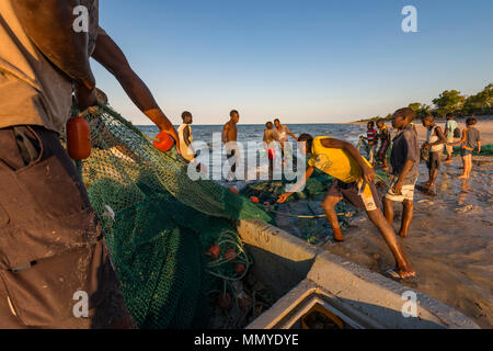 Pescatori artigianali in Mozambico tirate fuori le reti contenenti i giorni cattura. Foto Stock