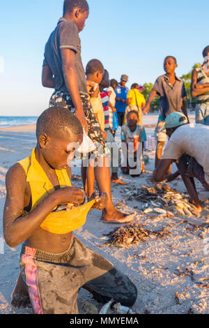 I pescatori locali raccolgono i giorni di cattura in Inhassoro Mozambico. Foto Stock