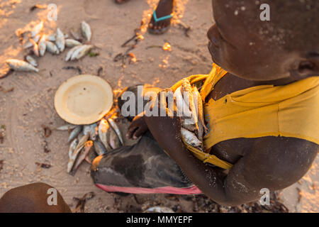 I pescatori locali raccolgono i giorni di cattura in Inhassoro Mozambico. Foto Stock