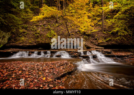 Una piccola cascata su Brandywine Creek in Cuyahoga Valley National Park in Ohio. Visto qui in autunno con foglie cadute. Foto Stock