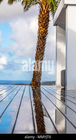 L'immagine orizzontale di una palma e la sua riflessione sul bagnato di un ponte di legno in San Barts, Foto Stock