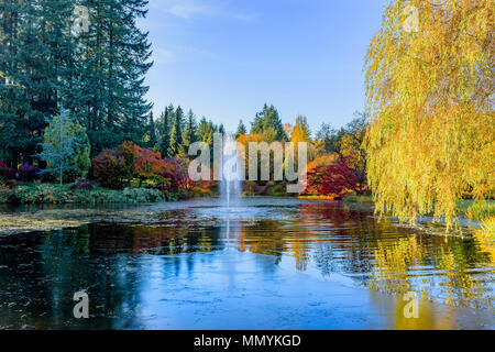 Laghetto con fontana, VanDusen Botanical Garden, Vancouver, British Columbia, Canada. Foto Stock