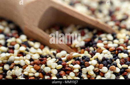 Fresca di quinoa mista con un cucchiaio di legno closeup Foto Stock