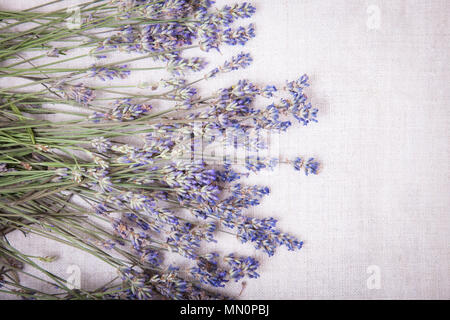 Freschi di fiori di lavanda in tessuto grigio Sfondo. Vista dall'alto di un fresco di fiori di lavanda, copiare lo spazio per il tuo testo. Foto Stock